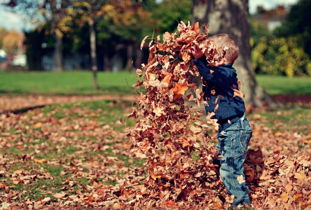Have some fun with the family this fall season. Here are ideas for fun family fall activities.